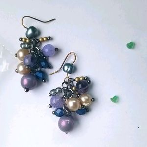 Jewelry earrings